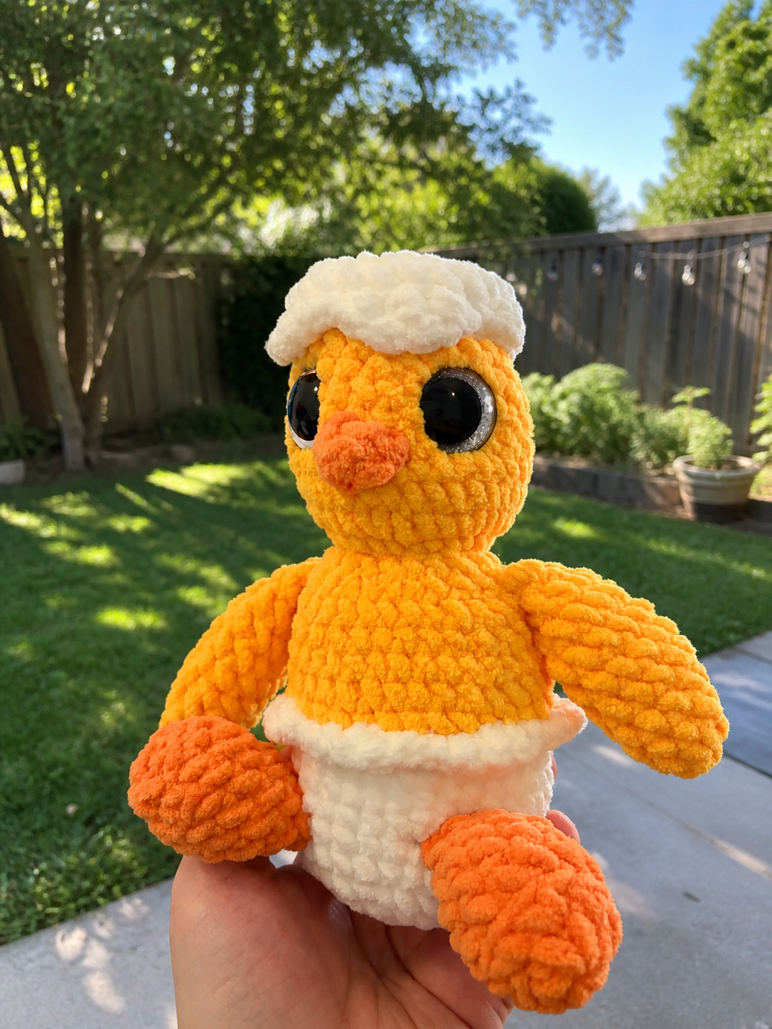 Little Hatching Chick