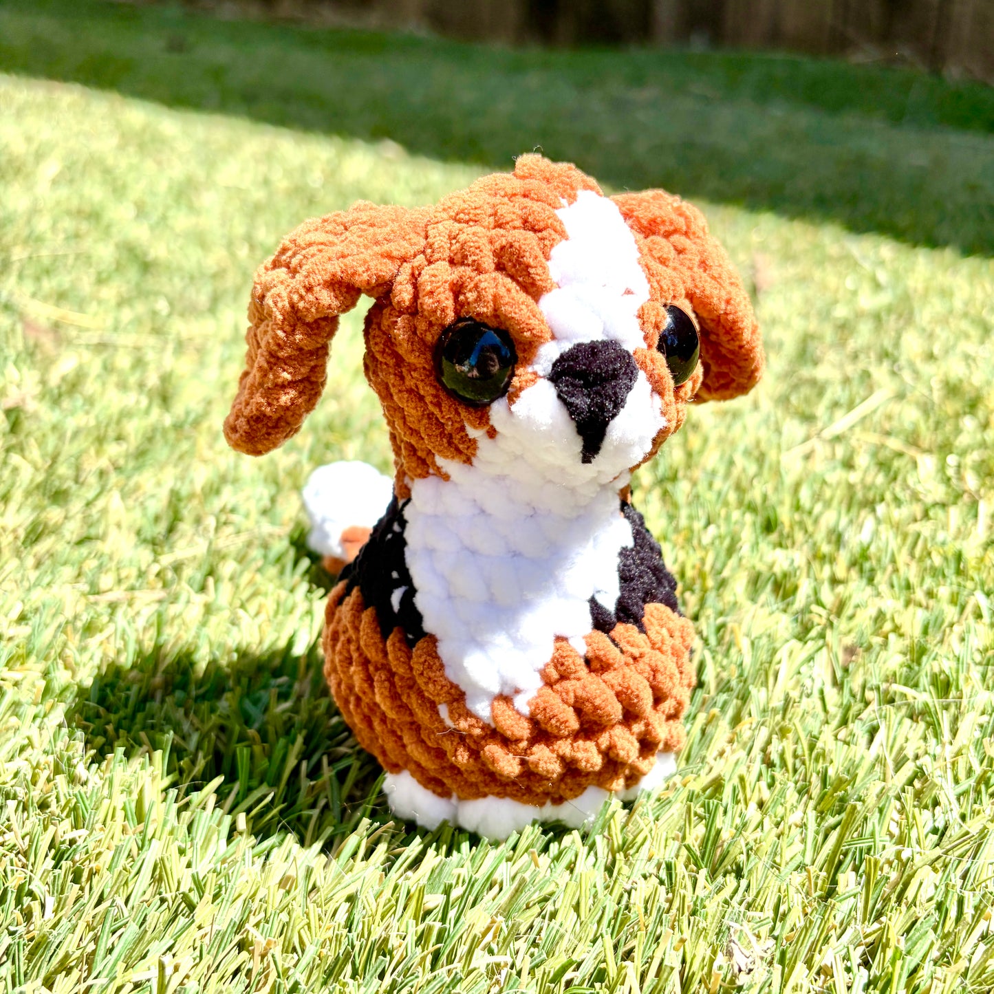 Barnsley the Sittin' Pretty Mini Beagle