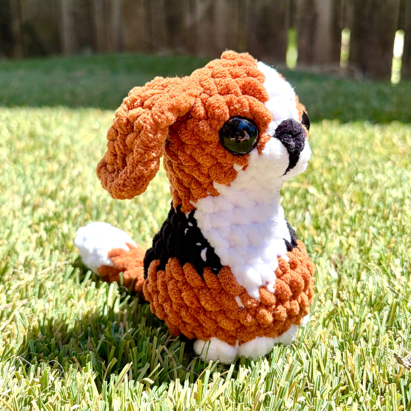 Barnsley the Sittin' Pretty Mini Beagle